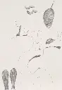 jari rijckaert_LR.webp